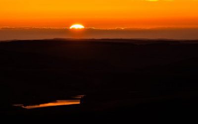 Los días más oscuros – Biotropía