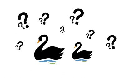 El cisne negro y el impacto de lo altamente improbable – Miguel Jaimes